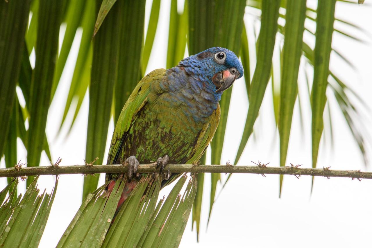 Kuyana Amazon Lodge Archidona Экстерьер фото