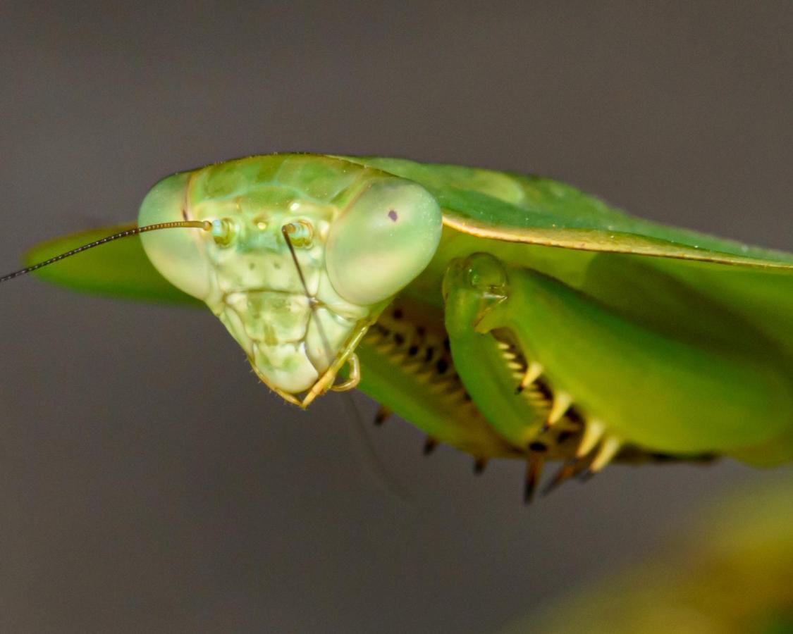 Kuyana Amazon Lodge Archidona Экстерьер фото