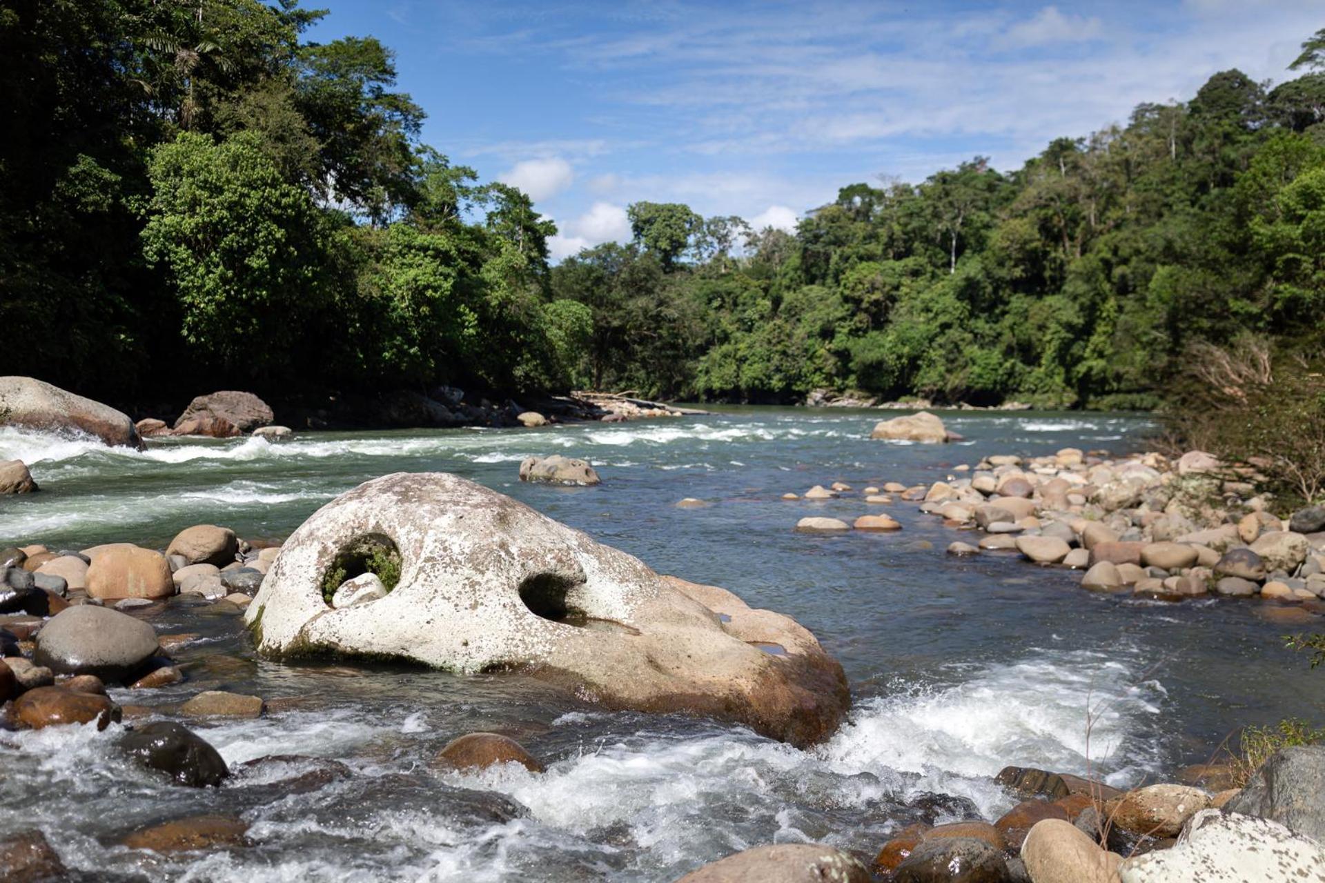 Kuyana Amazon Lodge Archidona Экстерьер фото